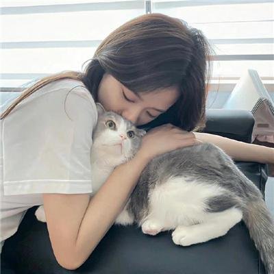 汤姆与杰瑞遇见福尔摩斯